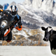 Image for article titled How A Trade Beef With Europe Could Make Your Next Motorcycle A Lot More Expensive
